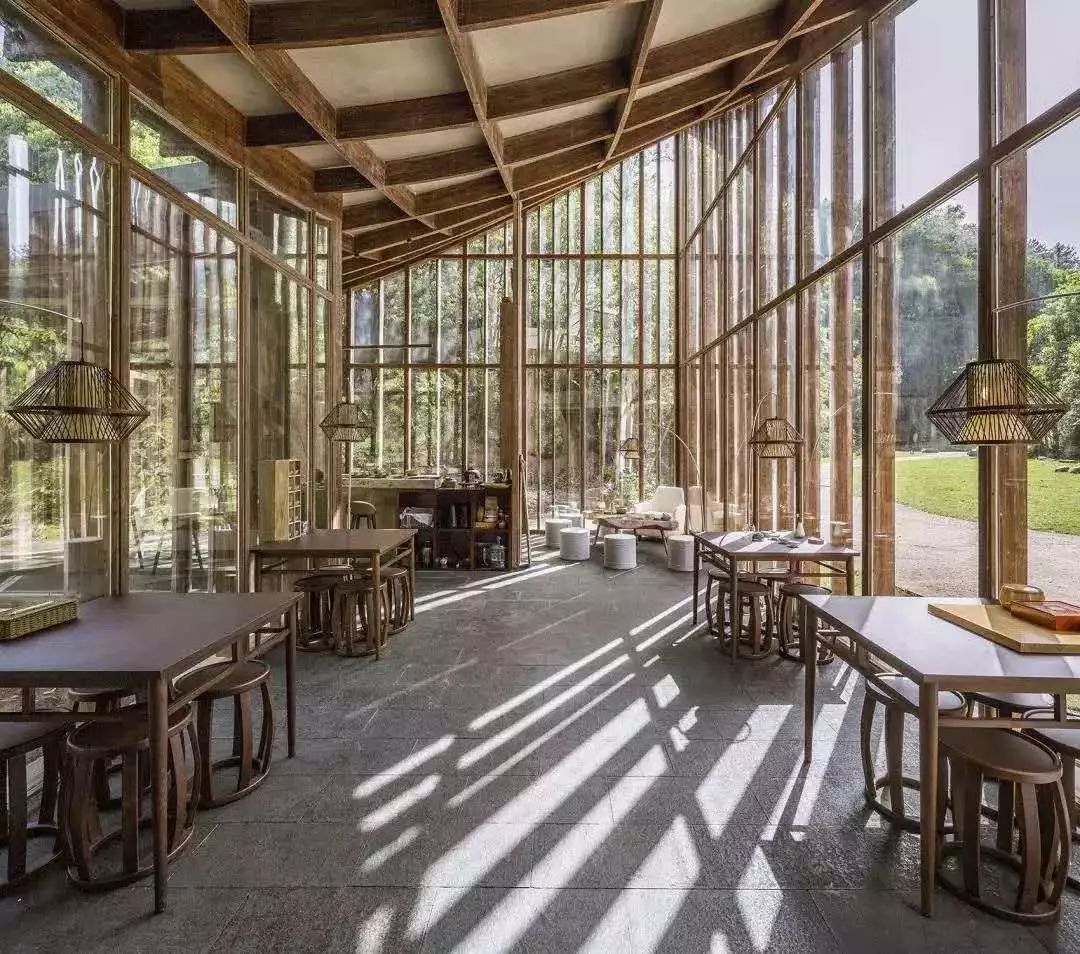 十里春风，不如一盏春茶