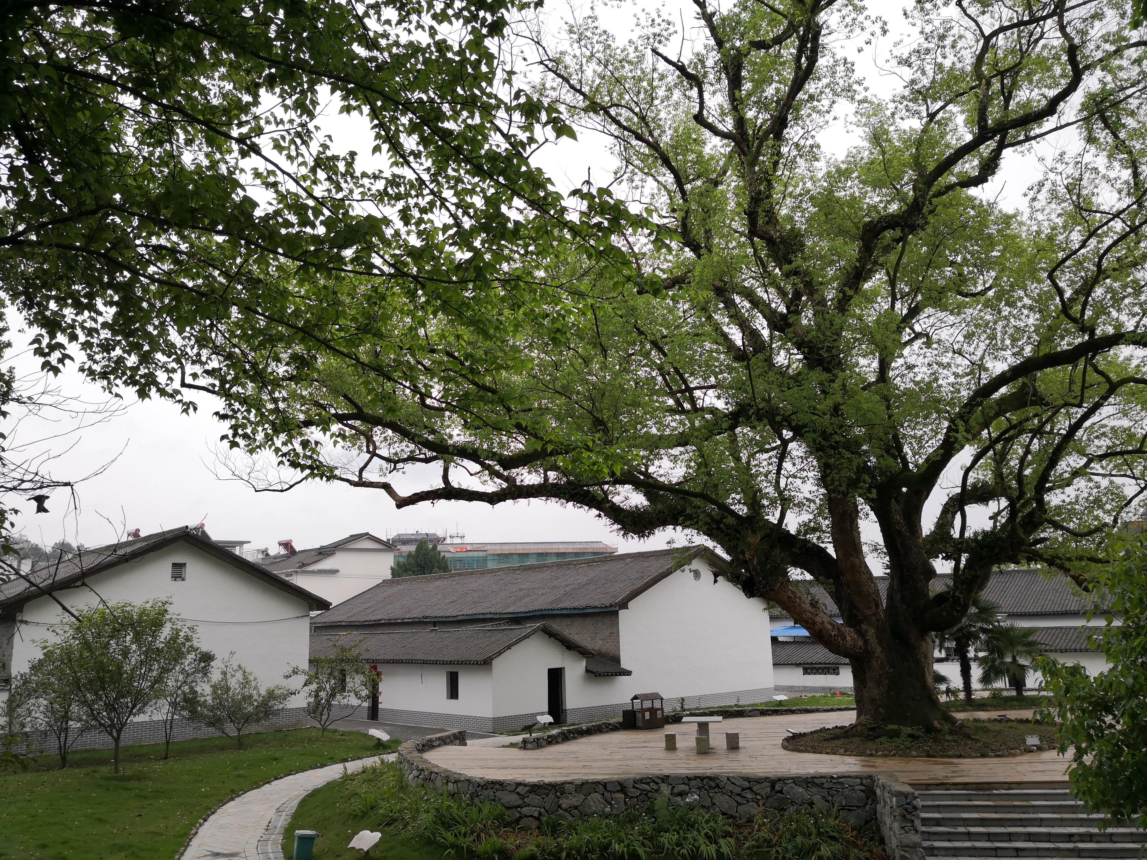 妈妈那边的亲戚称呼大全,山东亲属称呼大全