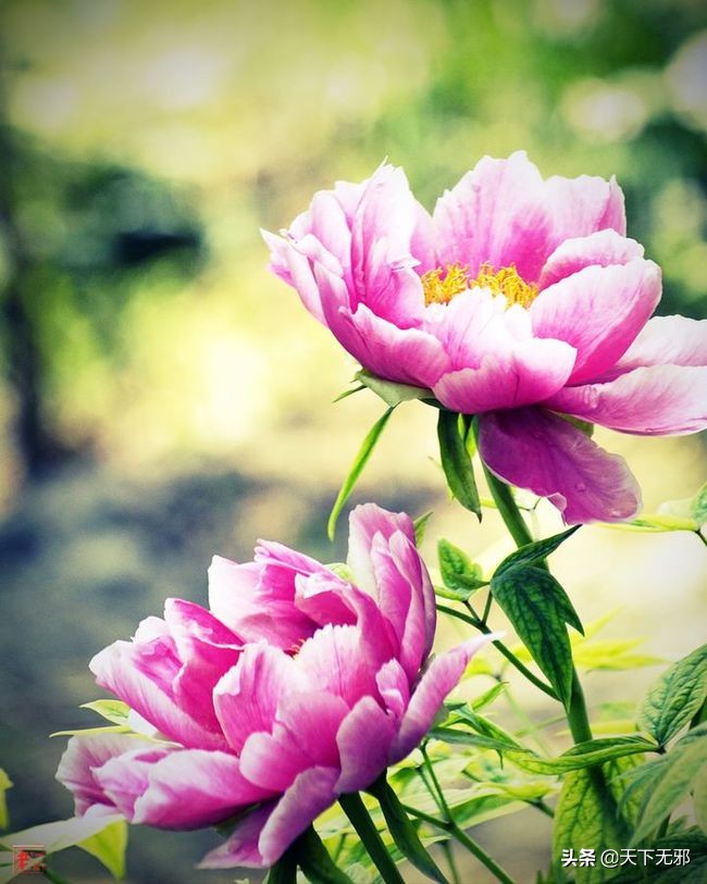 中国无神论思想的历史,中国无神论简史