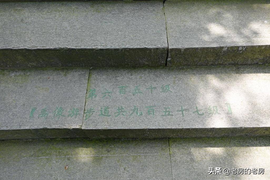 索尼黑卡rx0m2使用说明书,索尼黑卡rx0m2