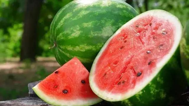 热带水果名单,热带水果王国攀枝花