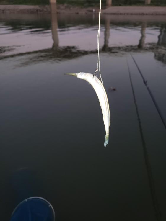 金迦潘钓杆,金迦潘求败渔具好用吗