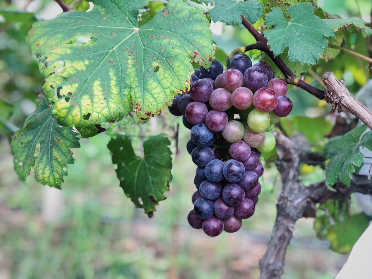 厦门温泉酒店吃住一体团购,厦门温泉酒店温泉套票