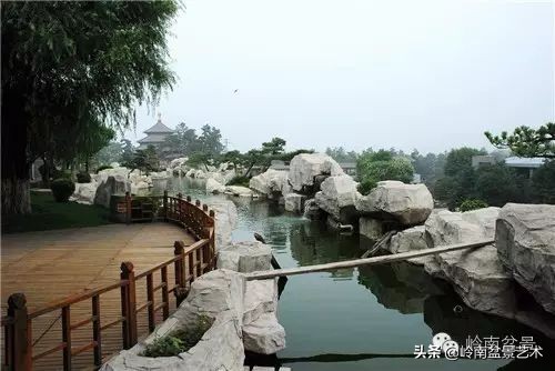 盆景修剪的八个常识,新手直播盆景入门基本知识