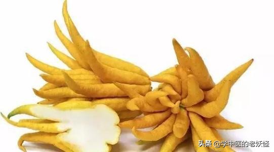 每日学习一味中药陈皮,每日学一味中药