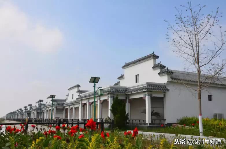 沧州旅游攻略必玩的景点冬天,沧州游玩攻略必去景点