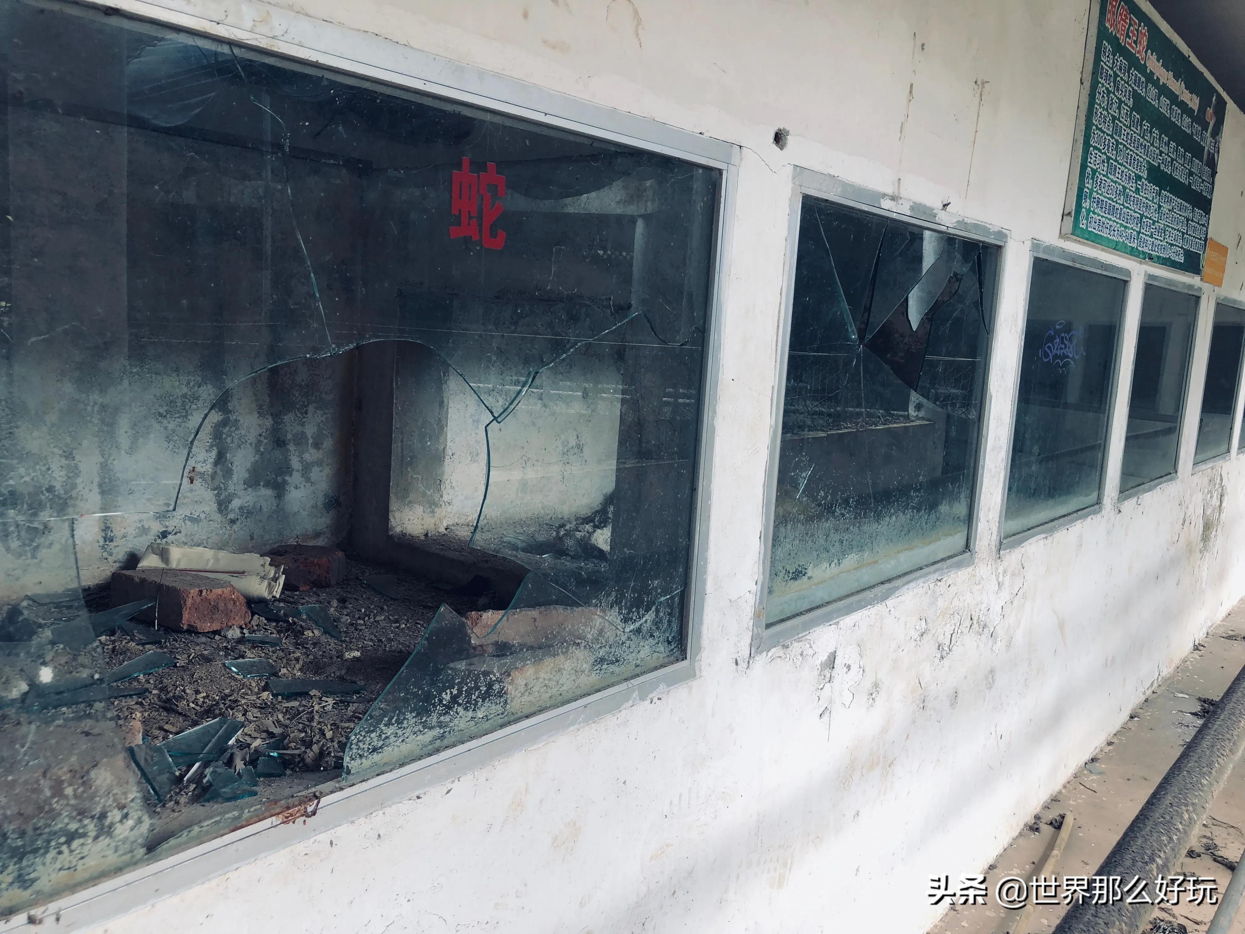 海南金牛岭动物园视频,海口金牛岭公园现在还有动物园吗