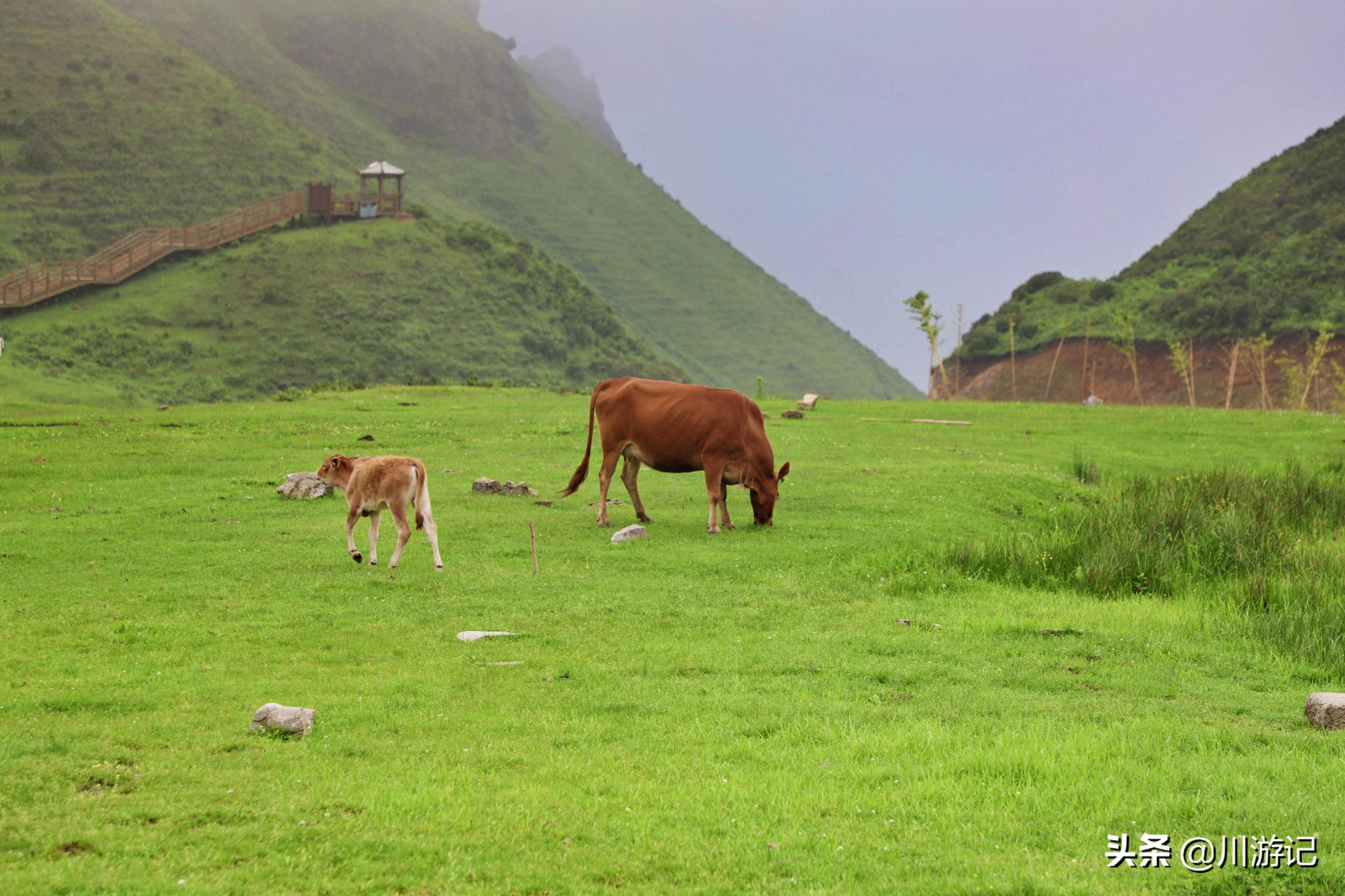 夏天十大凉快地方,夏天最凉爽的5个避暑城市