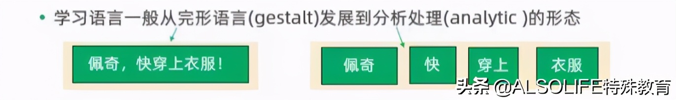 语言治疗学语言产生的完整过程,语言治疗操作