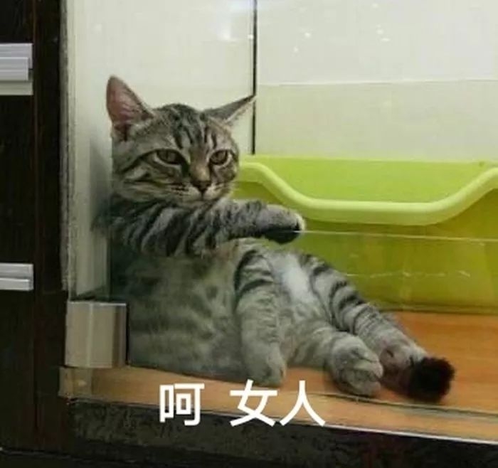 全网最火口红推荐,全网最显白的9支口红断货王