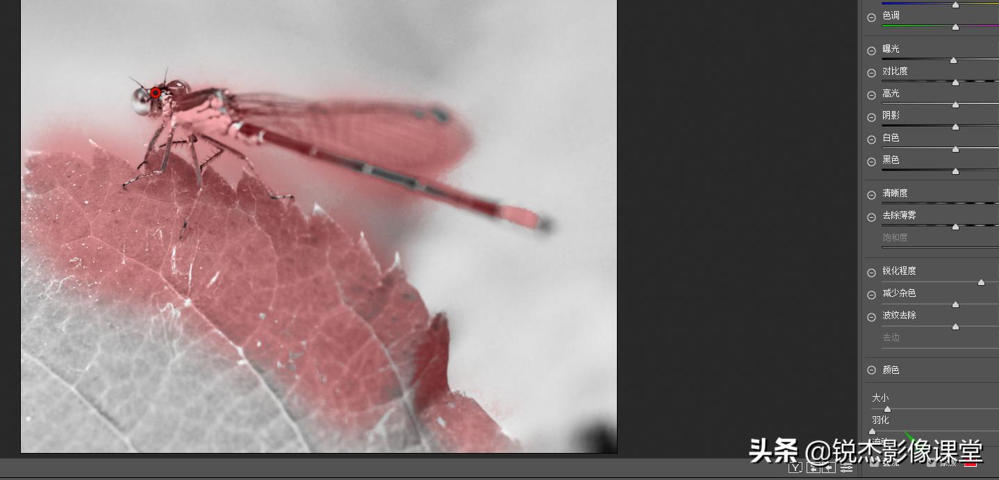 ps怎样调出高质量的黑白照片风景,ps如何给黑白照片上的人物上色