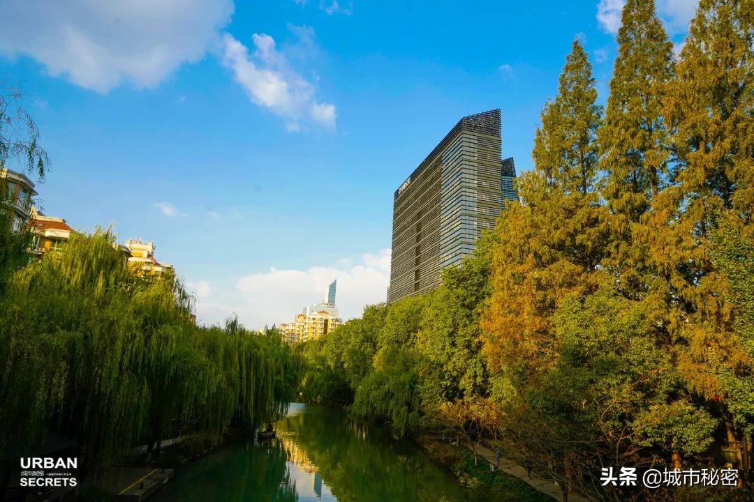 曾经的杭州第一大家族,杭州百年望族