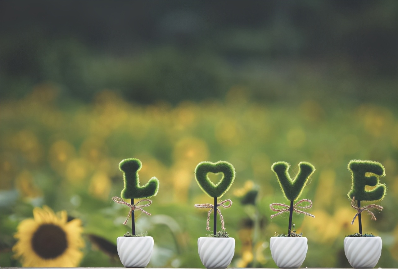 如果你想离婚请先听完这三句话,如果你现在想分手怎么办