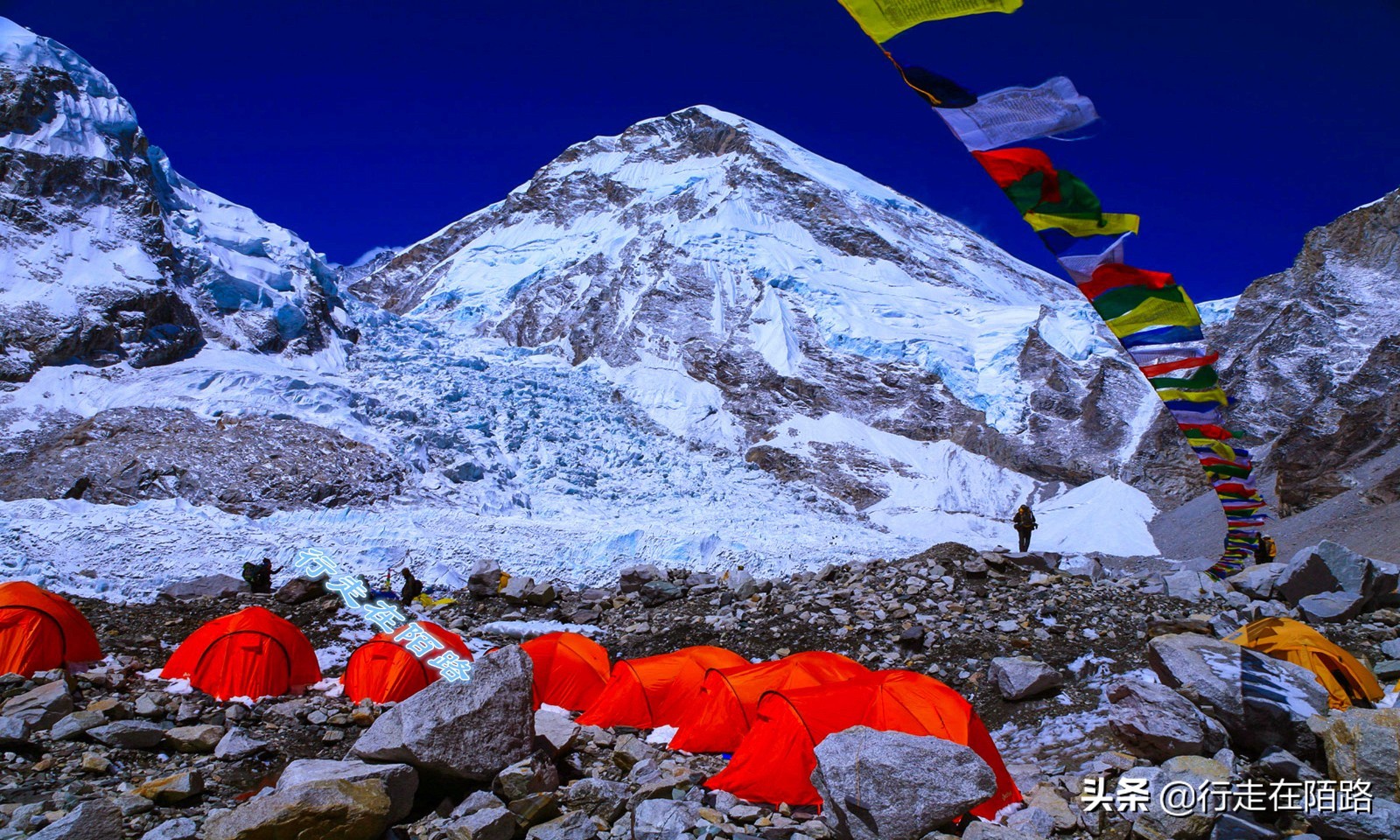 气候变暖引起的冰川变化,冰川大面积变暖