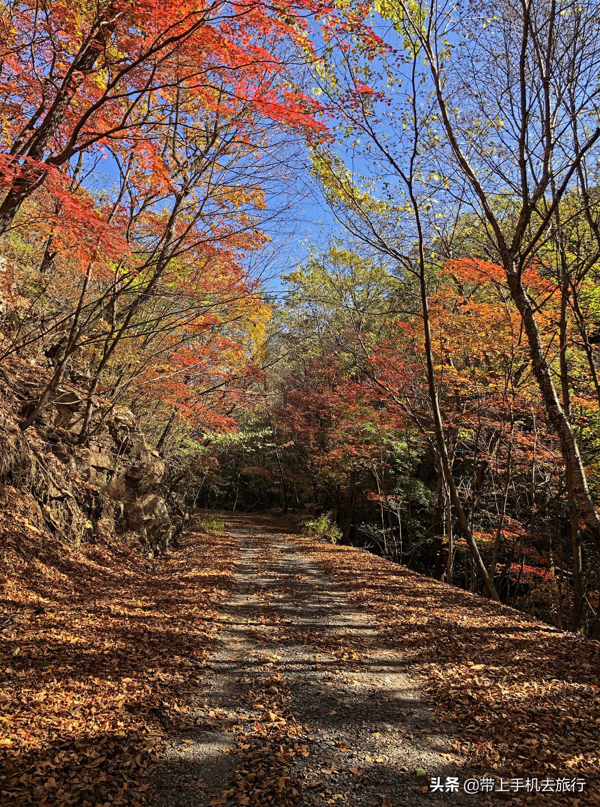 手机拍照是竖的好还是横的好,手机拍照横着和竖着的比例