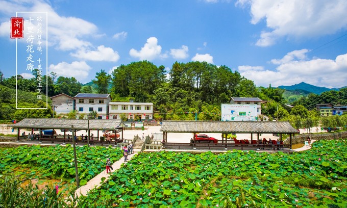 渝北周边采摘推荐,渝北茨竹附近采摘园