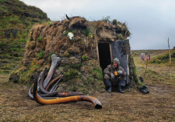 猛犸象牙携带远古病毒,猛犸象牙有远古病毒吗