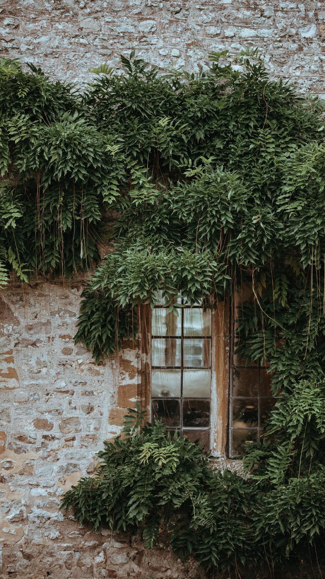 我终于一无所有了谁也不理谁了,我终于一人孤独到老了完整版