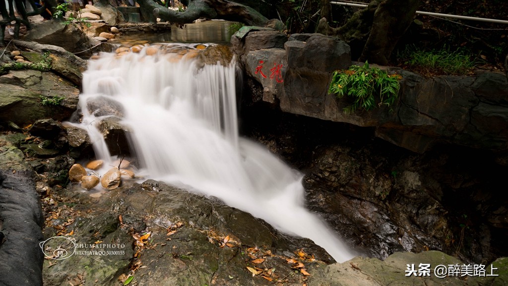 广州市旅游景区免门票,广州最全免费景点和门票价格