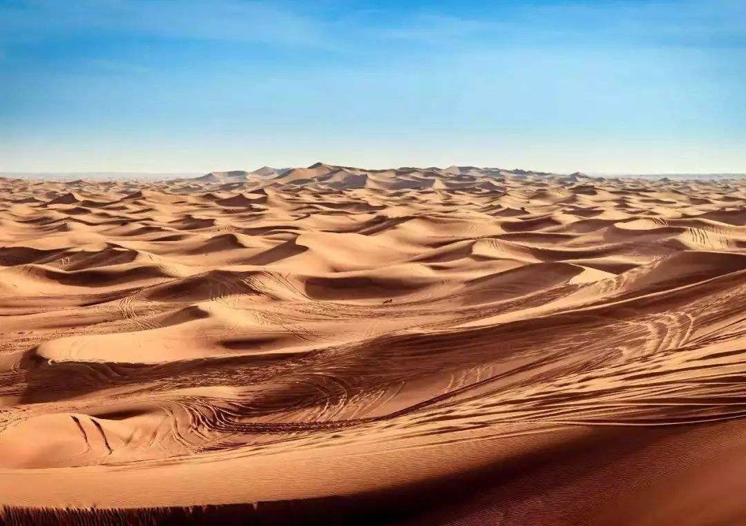 沙特阿拉伯小麦,沙特阿拉伯降水量