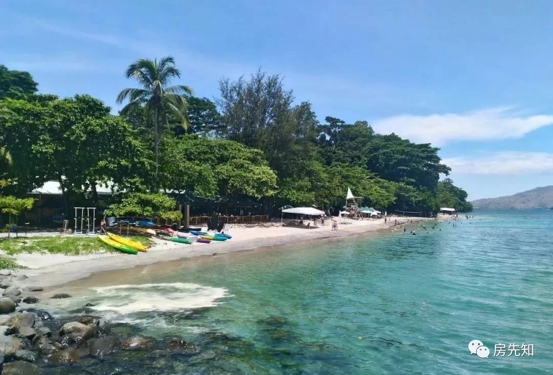 湛江房先知,房先觉最后的下场