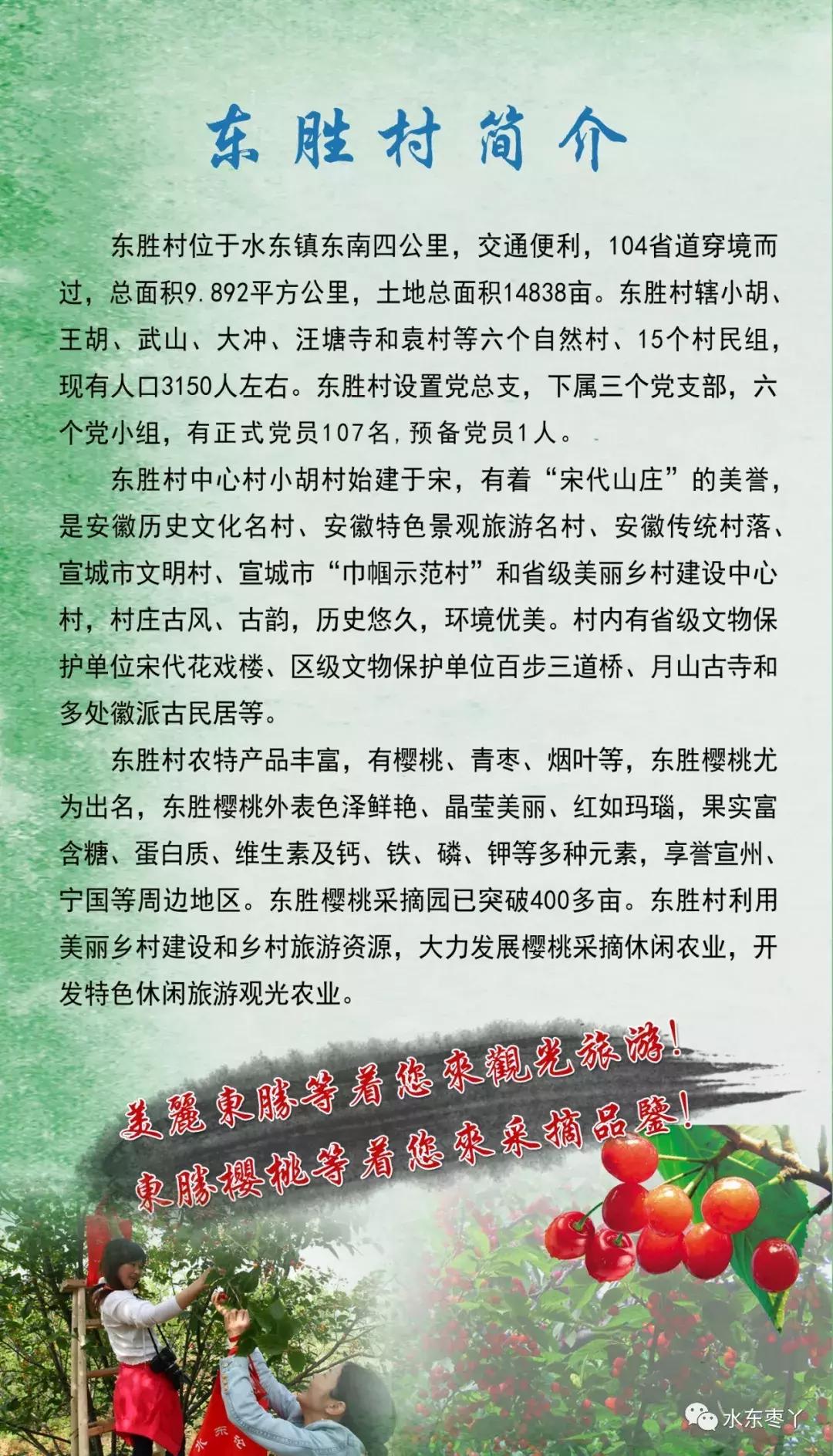 宣城本地现在还有樱桃采摘吗,宣城水东樱桃采摘