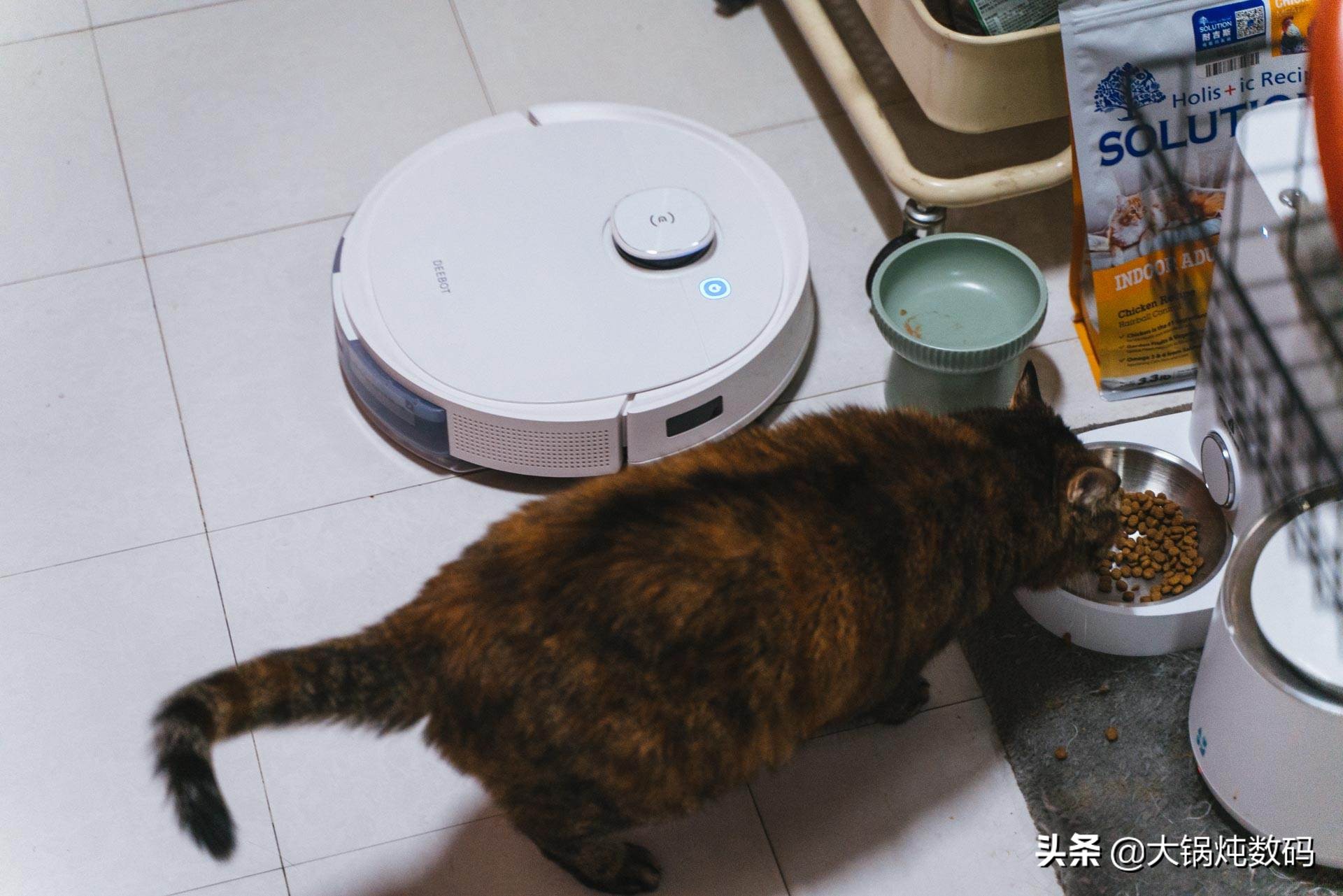 有了它我再也没有动手扫过地了，而且每天都是香香的