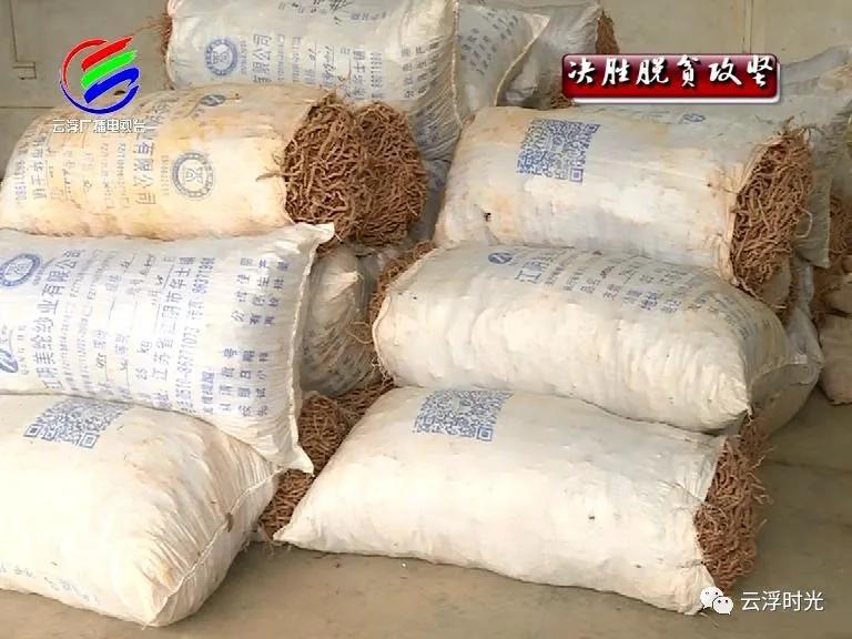 郁南振兴乡村项目,郁南县乡村振兴视频