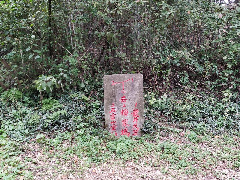 杭州市周末自驾游去哪里好玩,杭州出发周末旅游攻略