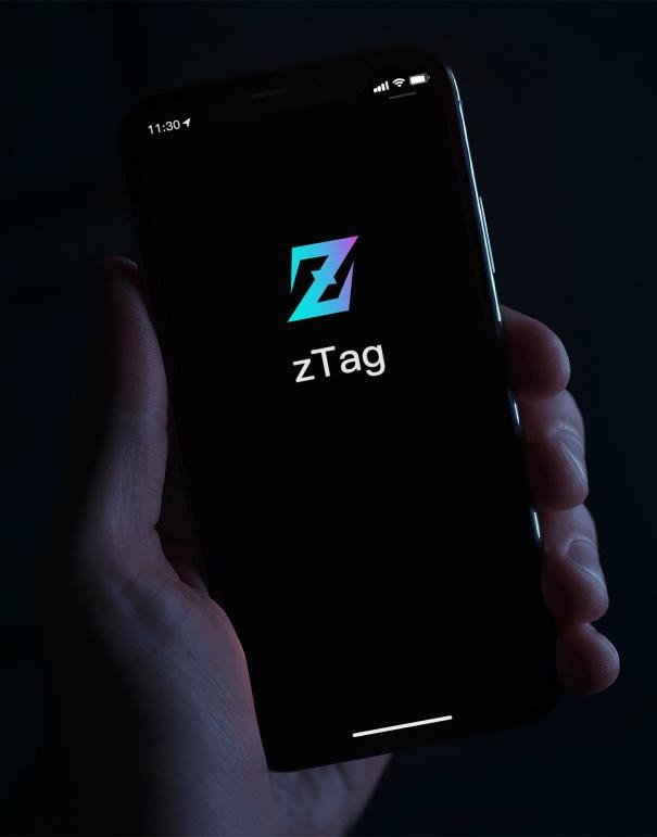 香港与内地文化交流活动形式,香港与大陆文化交流活动