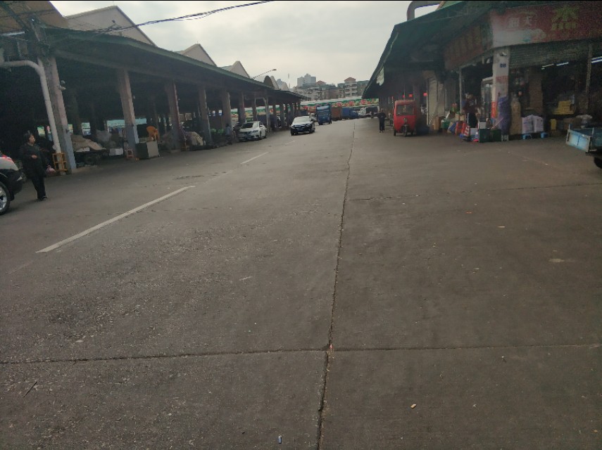 广州最大的家具城批发市场在哪里,广州最大的二手车批发市场在哪里