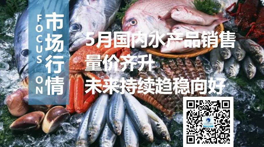 下半年水产品价格走势预测,6月水产行情