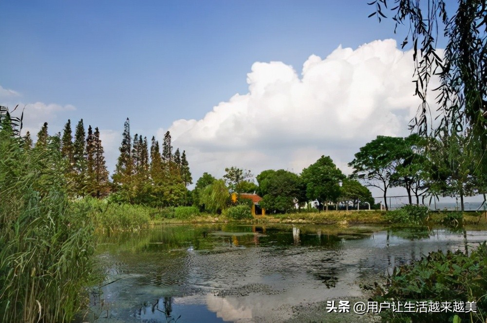 淀山湖真美,上海淀山湖风景区介绍
