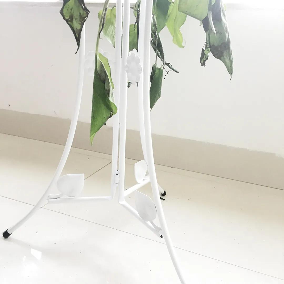 只要思想自由,只要开心坐在家里也可以周游世界