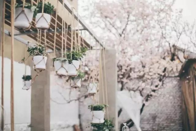 10000块能做点什么,10000块钱能做什么