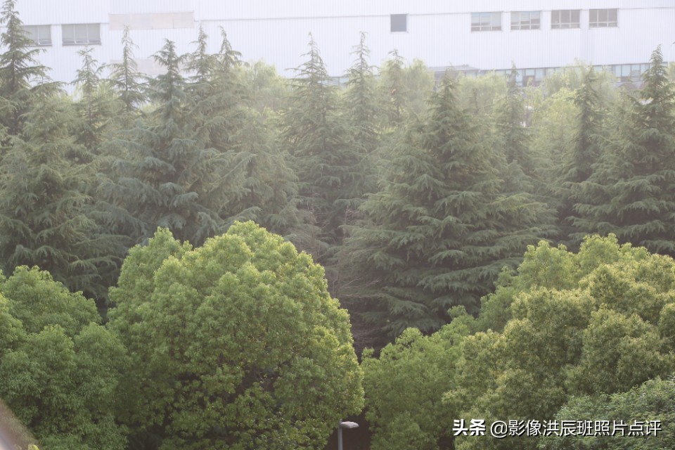 黑色背景怎么拍出质感产品,摄影黑色背景怎么拍得更黑