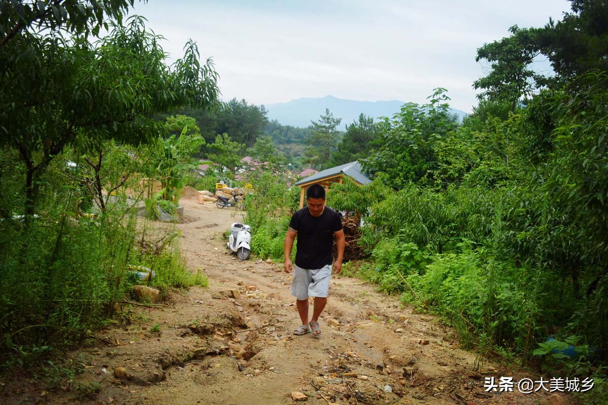 农民养两千余只土鸡变飞鸡,中国深山养殖5亿只鸡视频
