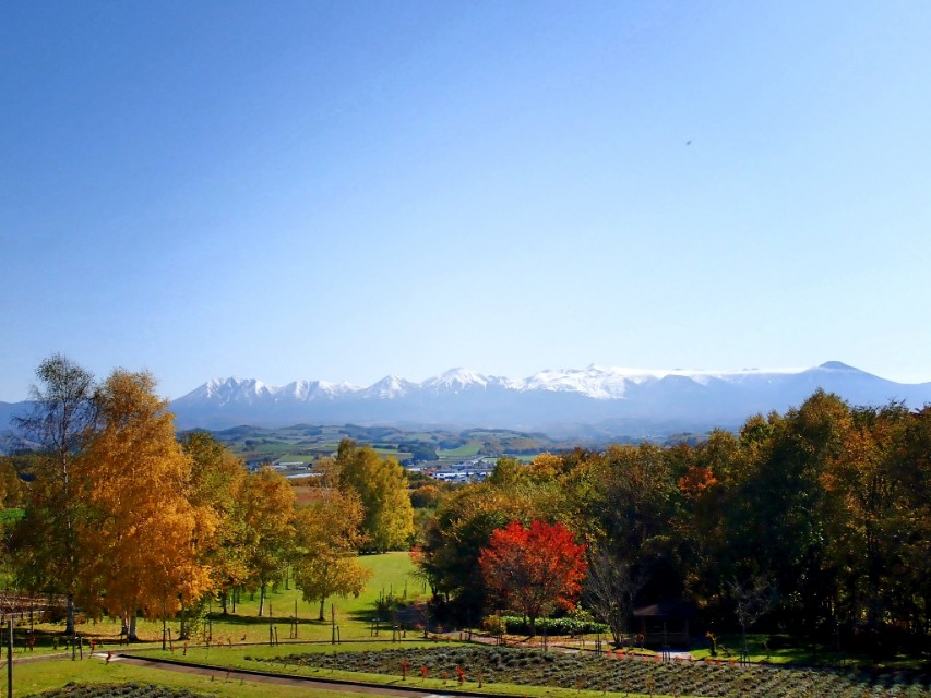 北海道登别到美瑛町需多久,日本北海道美瑛川的雪景