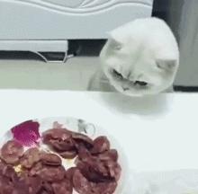 搞笑动图gif图片合集,搞笑动图gif微信可爱表情包