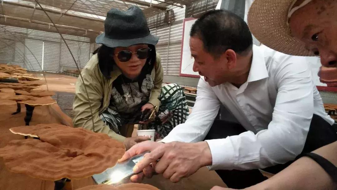 2022年寿仙谷杯省运会,寿仙谷比赛