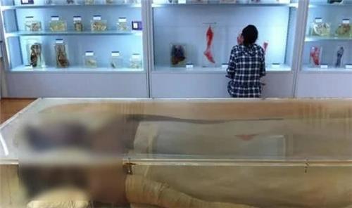 比姚明还高的中国女巨人,中国第一女巨人身高超姚明