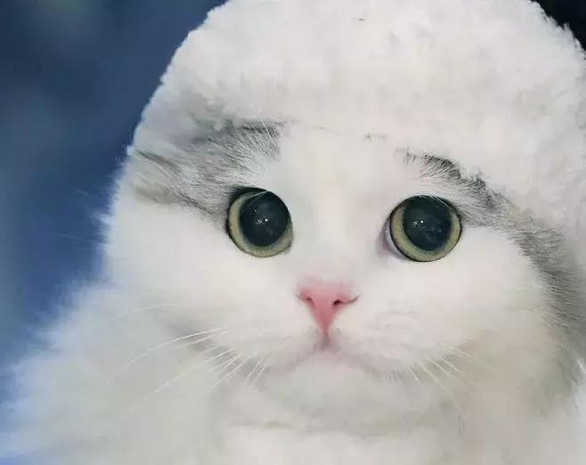 只要不停产就会无限回购的护肤品,只要不断货就一直卖的水乳