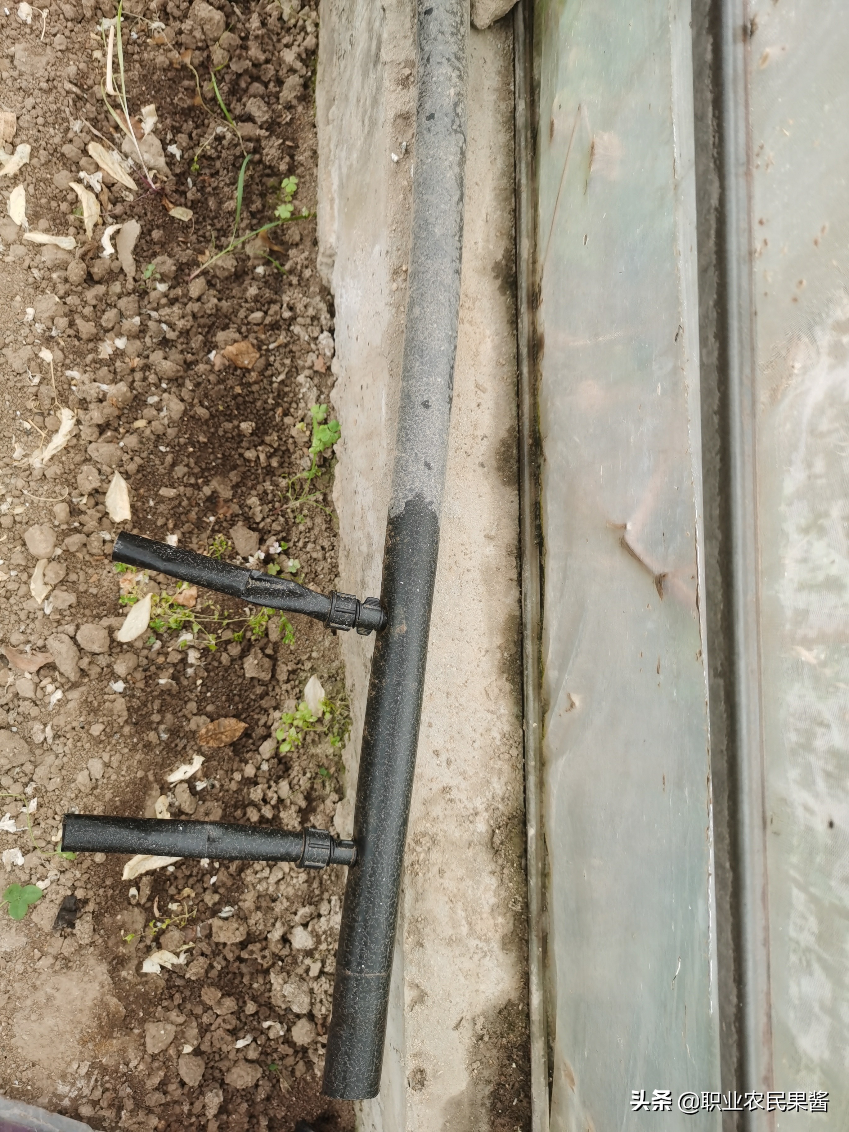 大棚蔬菜种植如何起垄,大棚蔬菜种植整地