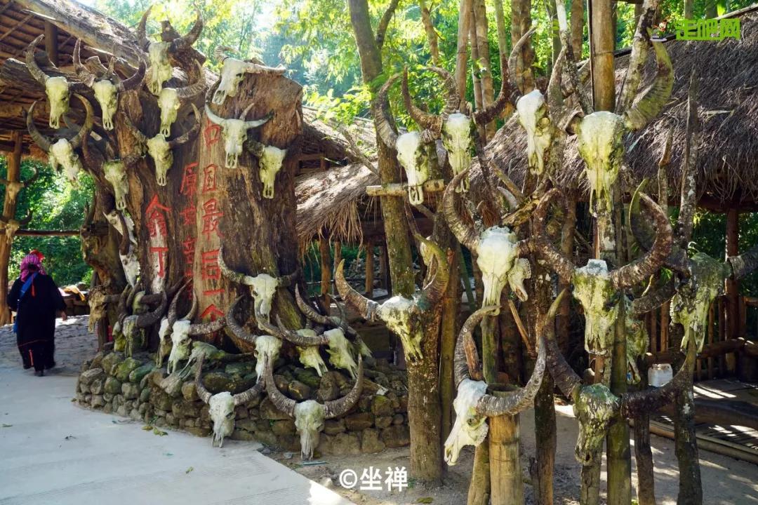 过年了爱车也要干干净净,过年了你的爱车洗干净了吗