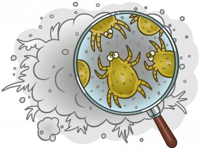 特应性皮炎对尘螨过敏怎样治疗,特应性皮炎尘螨严重自愈经历