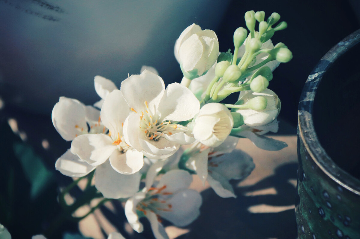 很想让自己静下心来,想让自己静下心来的句子