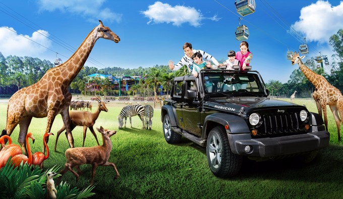 长隆动物园攻略带食物,长隆创意玩法