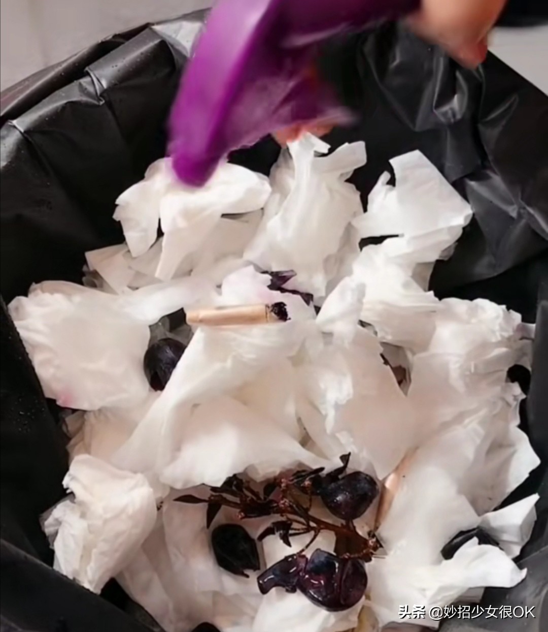 超实用！掰断的蚊香不要扔，用它泡水，一年能省好几百