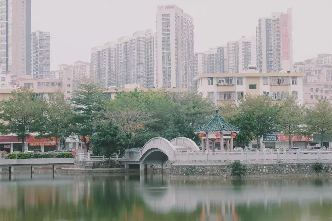 每个地方都有个沙井,好多地方叫沙井