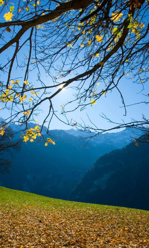 阳光下的田野美景,阳光下的自然风光